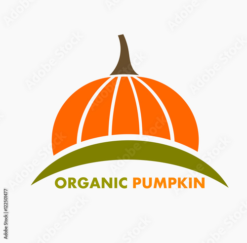 Organic pumpkin logo