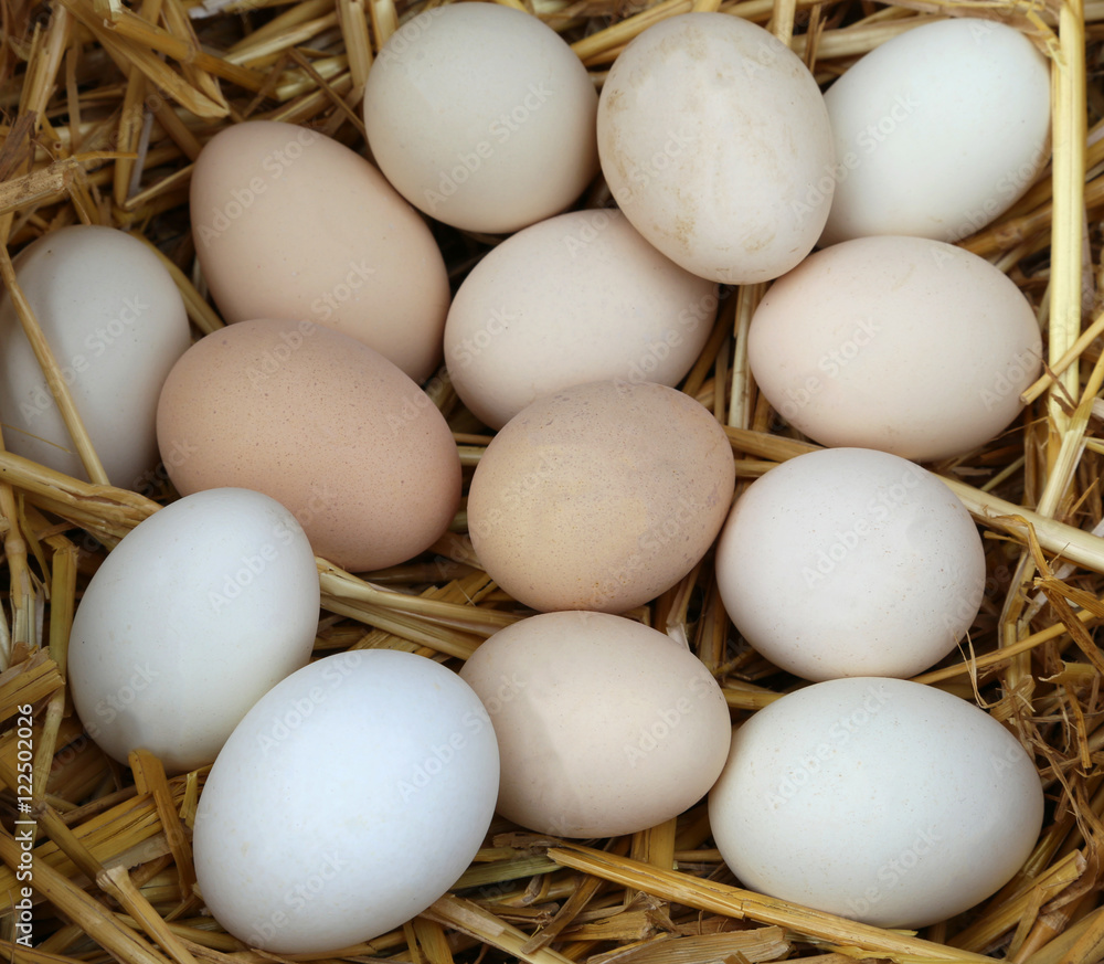 fragile fresh chicken eggs with straw fragile fresh chicken eggs with straw
