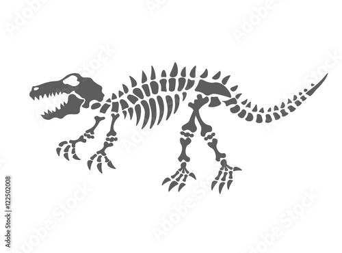 dinosaur skeleton vector illustration. The fossil of the dinosaur, on a white background