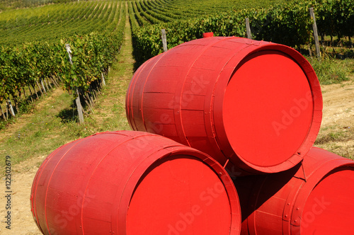 Old wine barrels, with green vineyard in chianti region, tuscany, italy.
