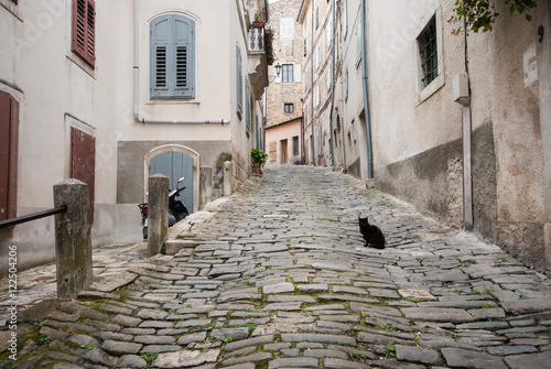 Photos Famous Motovun, Istra, Croatia
