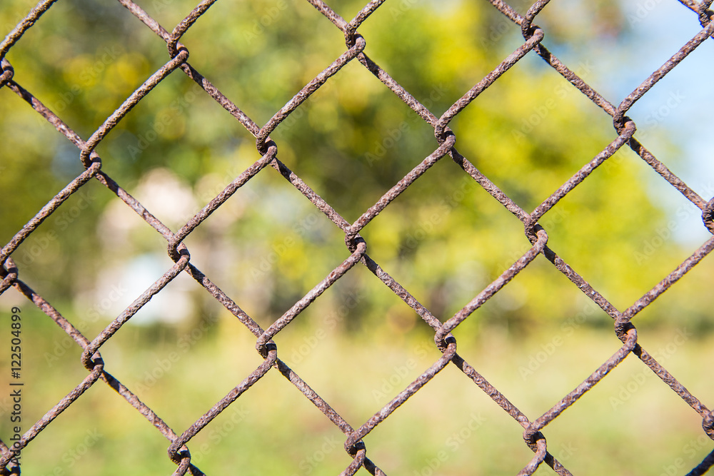 The Rusty metal grille fence macro and nature background The Rusty metal grille fence macro and nature background