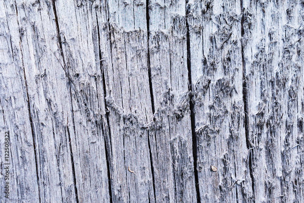 Old cracked surface of a wooden board. Old cracked surface of a wooden board.