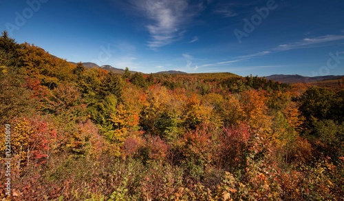 Colors of Autumn near Lower Falls at White Mountains , NH, USA 