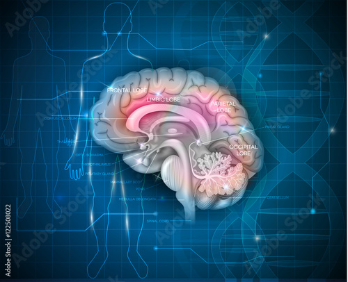 Human Brain research abstract scientific background with DNA chain