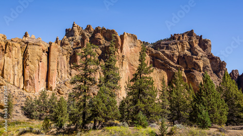 The sheer rock walls. Beautiful landscape of yellow sharp cliffs. Dry yellow grass grows at the foot of cliffs. Smith Rock state park, Oregon