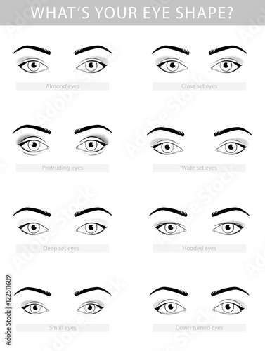 Various types of woman eyes, vector set