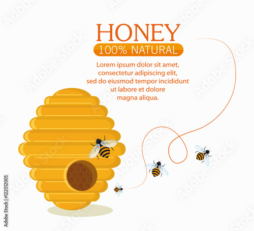 Fototapet Honeycomb and bees icon