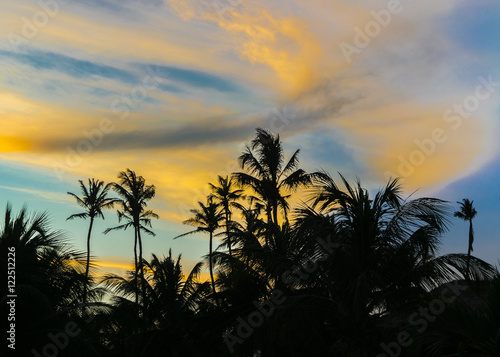 Palm Trees and Sunset Sky Jericoacoara Brazil