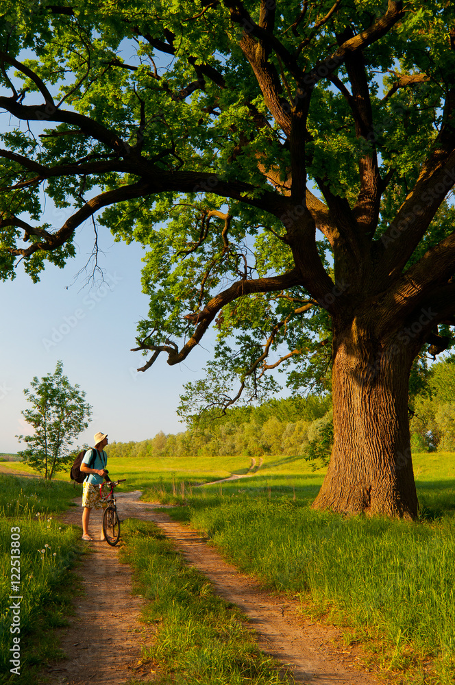 Bicycle rider resting on country road watching huge old oak in sunny summer day. Bicycle rider resting on country road watching huge old oak in sunny summer day.