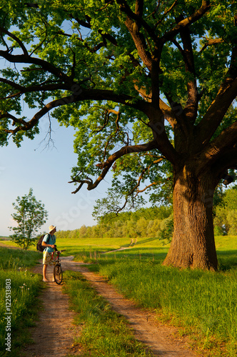 Fototapeta Naklejka Na Ścianę i Meble -  Bicycle rider resting on country road watching huge old oak in sunny summer day.