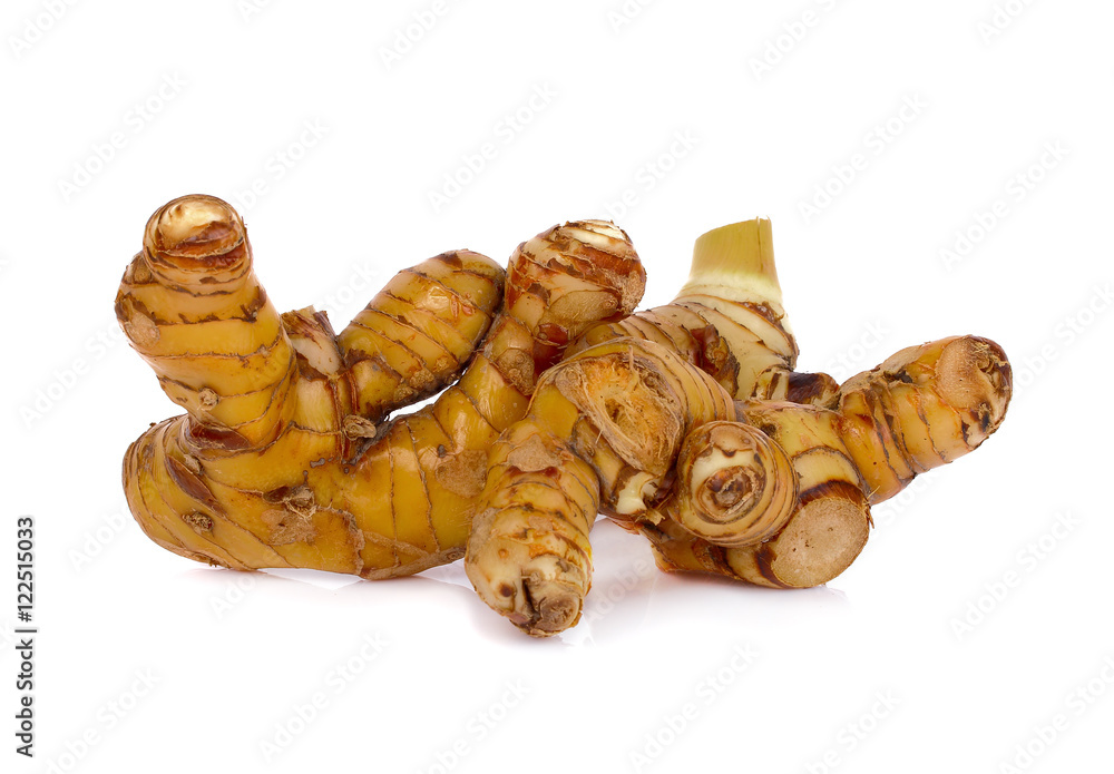 Galanga (Alpinia galanga SW) on white background Galanga (Alpinia galanga SW) on white background