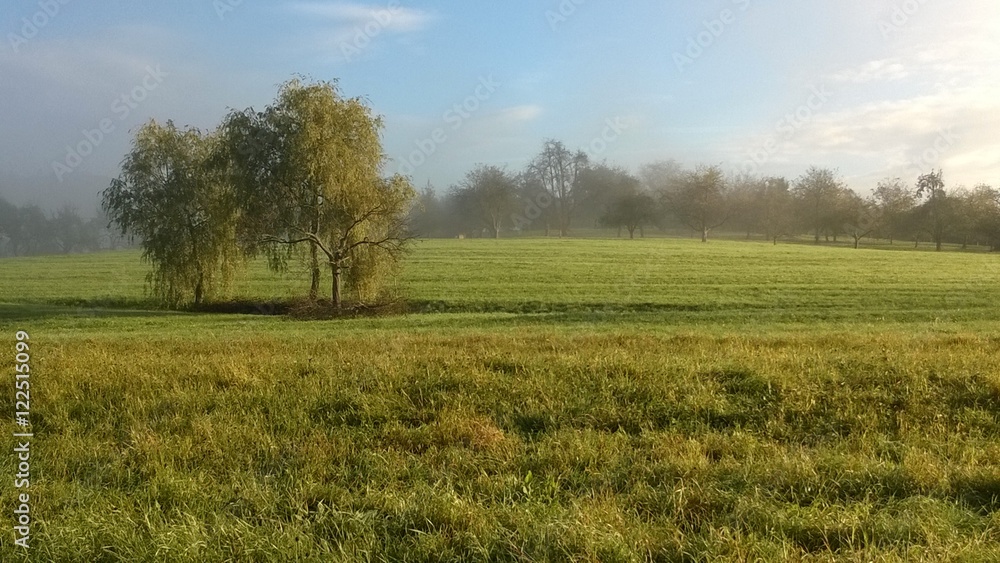 Autumn morning Autumn morning