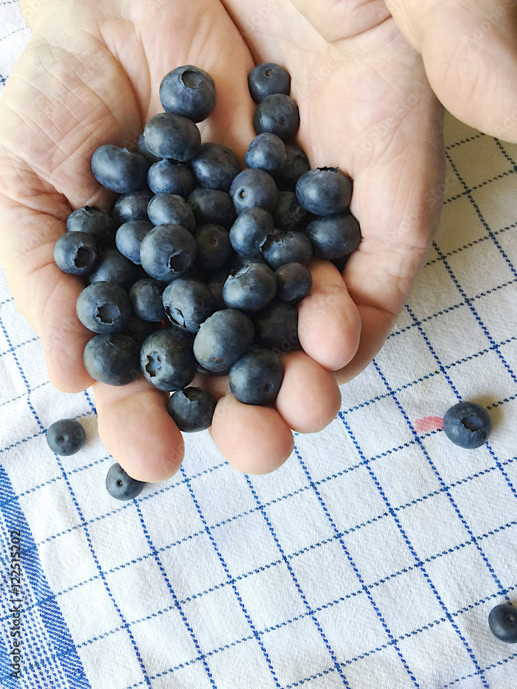 Man holds fresh blueberries in both hands Man holds fresh blueberries in both hands