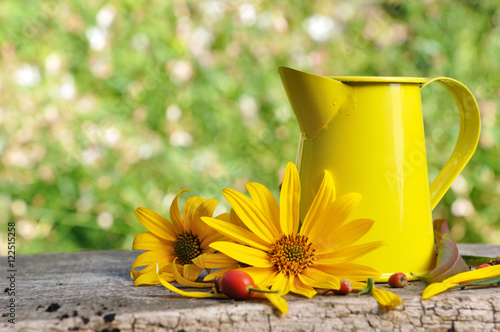 fleurs jaunes sur planches en bois avec petit pot dans jardin