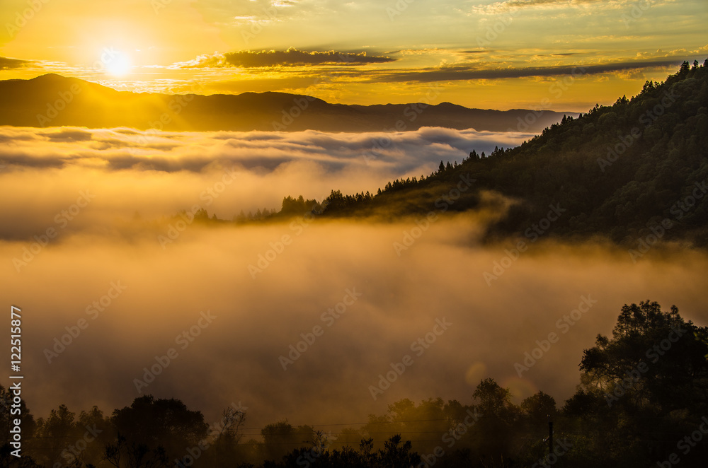 Golden sunrise shining through fog with tree covered hills in mid ground Golden sunrise shining through fog with tree covered hills in mid ground