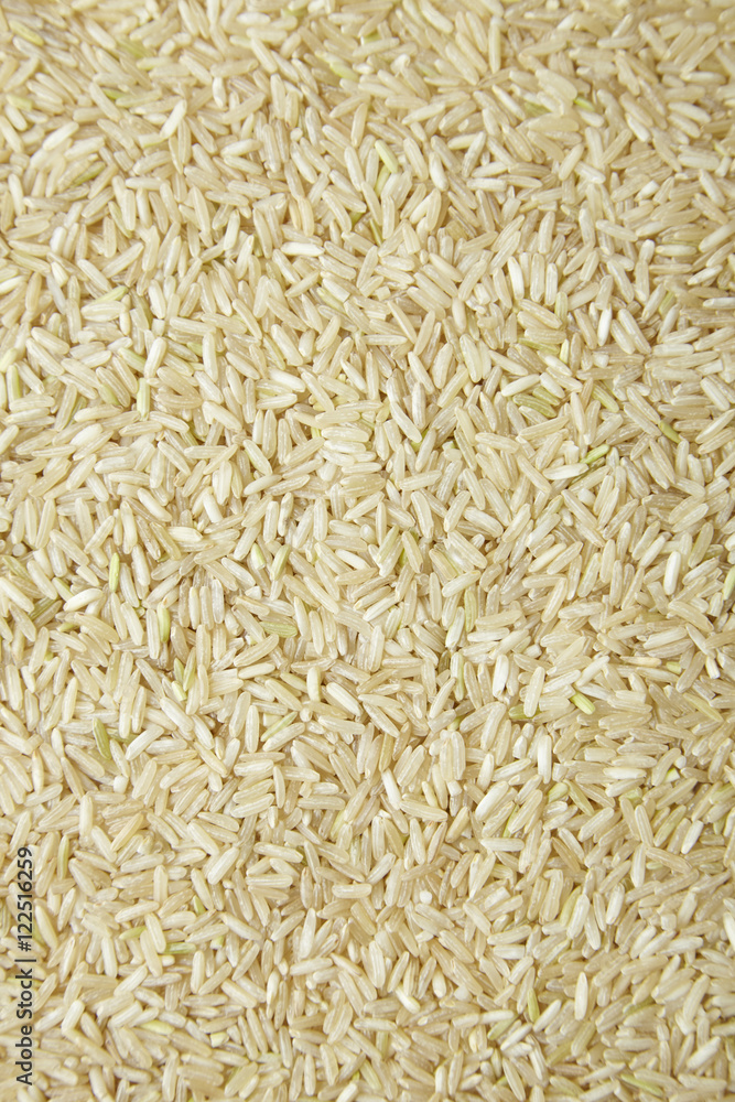 A full page of dry rice background texture A full page of dry rice background texture