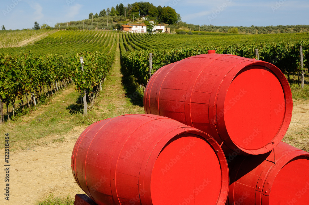 Vineyards with old wine barrels. Tuscany, Italy. Vineyards with old wine barrels. Tuscany, Italy.