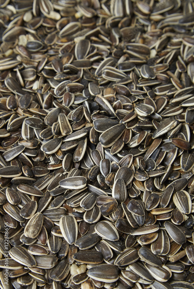 A full page of sunflower seeds with the shell on forming a background texture