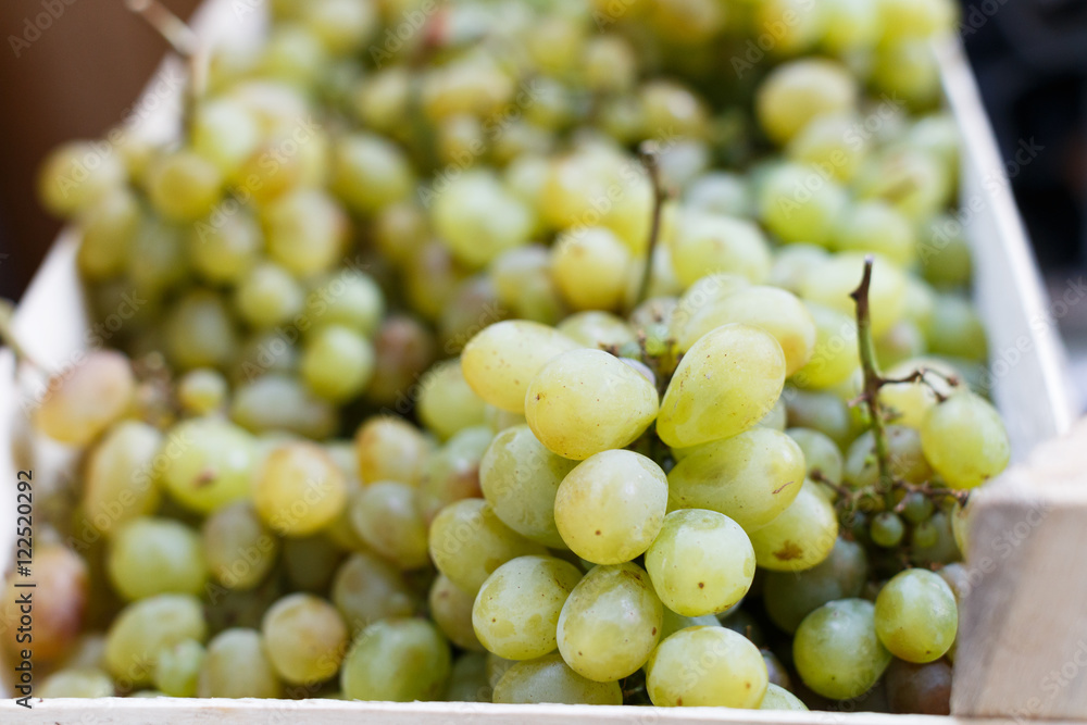 White grapes at the market.
