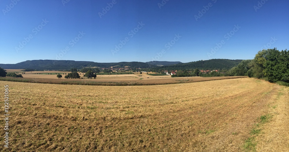 Landwirtschaft Wandfried-Altenburschla