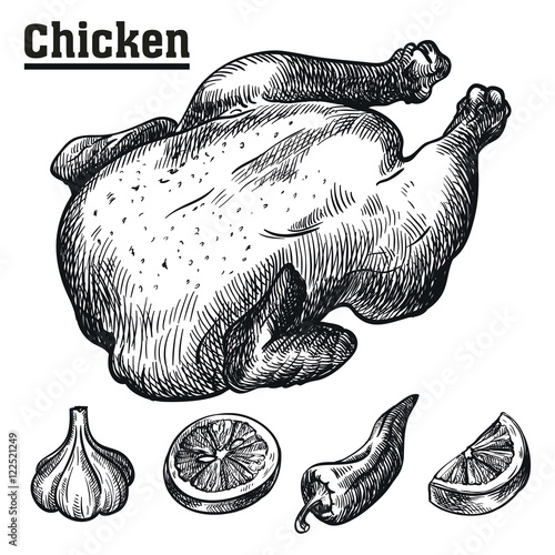 Stuffed chicken and ingredients. Sketches drawn by hand.