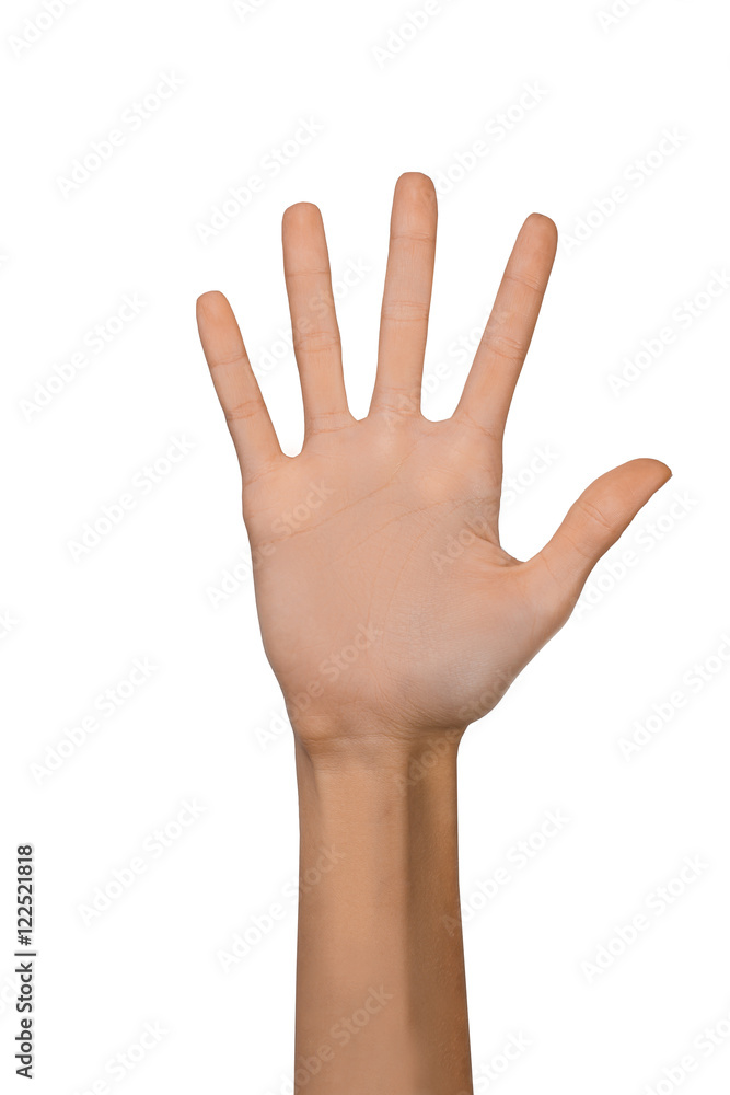 Fototapeta premium Isolated Empty open woman female hand in a position of number Five on a white background