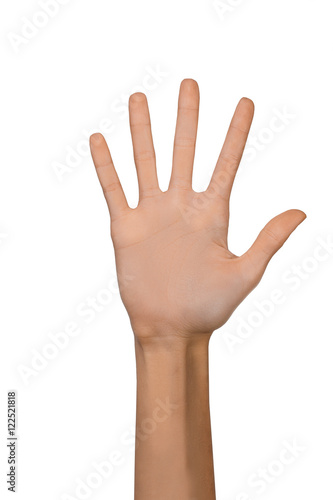 Isolated Empty open woman female hand in a position of number Five on a white background