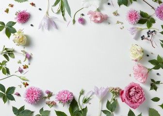border of pink and white roses with green leaves