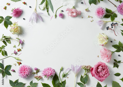 border of pink and white roses with green leaves