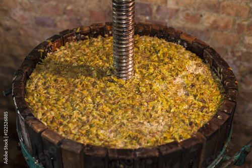 Grape harvest: Wine press with white must and helical screw photo