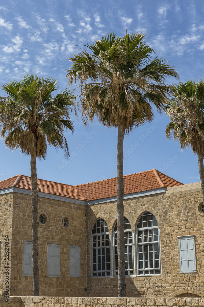 The ancient building of the former Carmelite monastery in Haifa, three palm trees and blue sky.