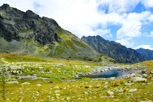 Mountain landscape in the Western Carpathians. Small lake in Mengusovska Valley  Vysoke Tatry  High Tatras   Slovakia
