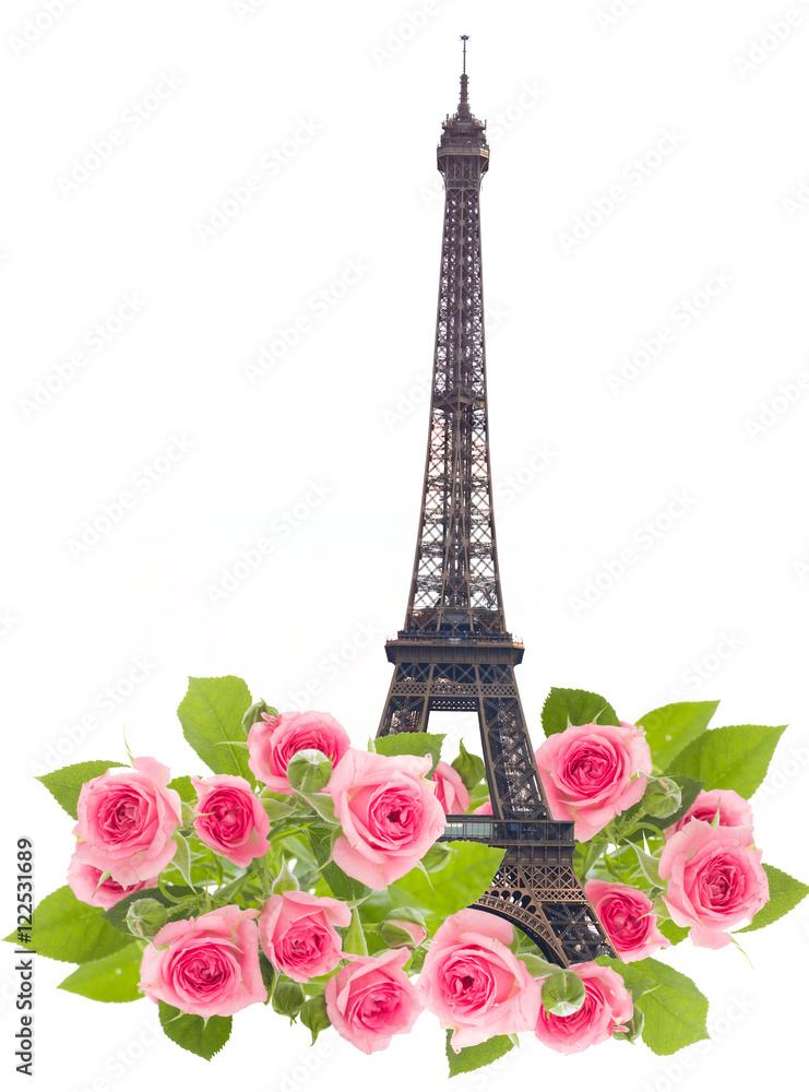 Eifel tower isolated over white background with blooming rose flowers. Eiffel Tower from Champ de Mars, Paris, France.