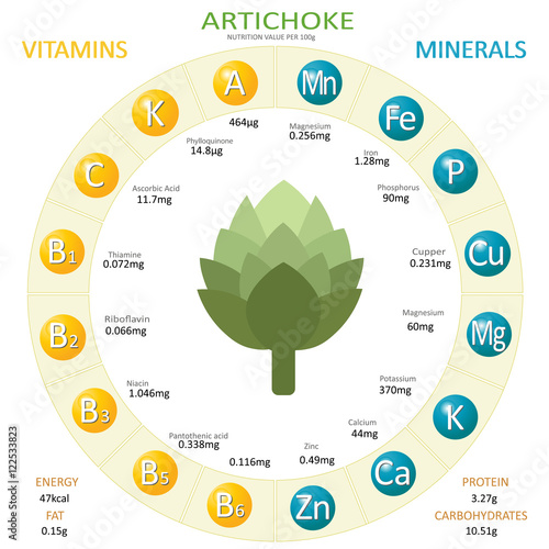 Infographics about nutrients in artichoke