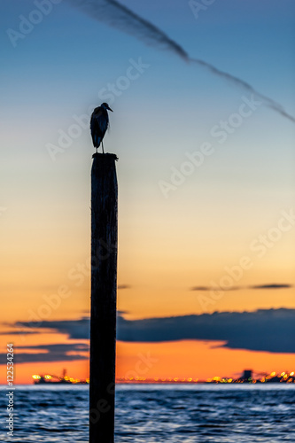 seagull silhouette resting on a post at sunset © Pierrette Guertin