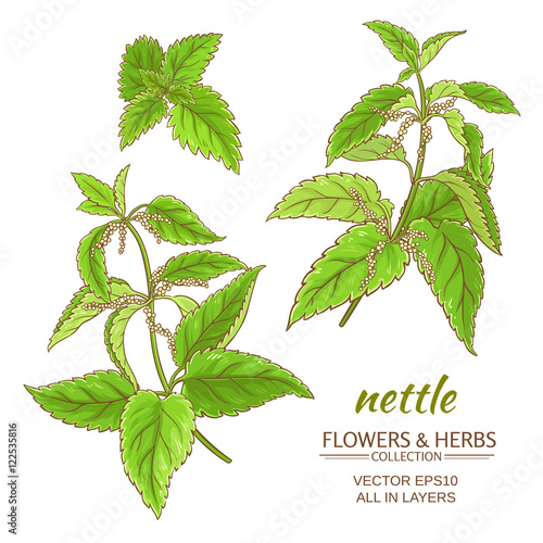 nettle vector set