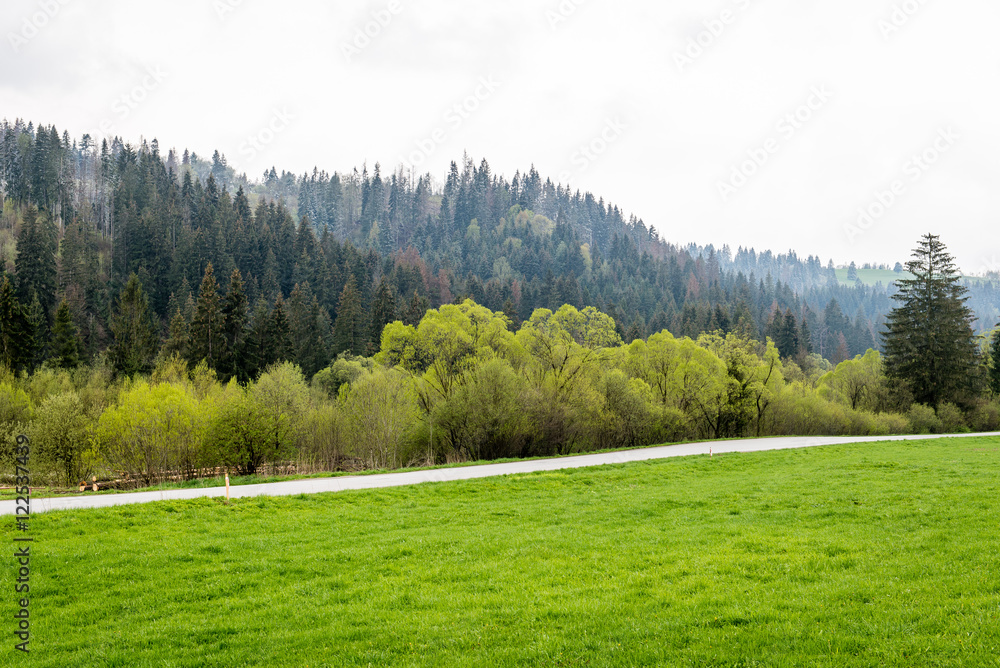 Fototapeta premium Cultivated field