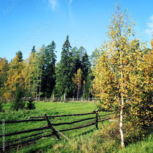 Old wooden fence around a horse grazing pasture. Toned photo. Sunny autumn day on Russian north. Valaam island  Karelia  Russia.