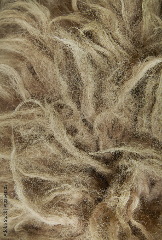 Obraz premium A full page close up of brown woolly background texture