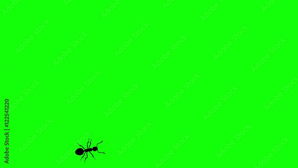 Ant on green screen, CG animated silhouette, seamless loop Ant on green screen, CG animated silhouette, seamless loop