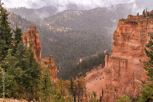 A stunning view of Brice canyon National park, utah. © larisa_stock