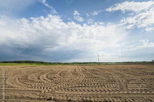 Agricultural landscape, plowed field in seeding, clouds on the horizon.
