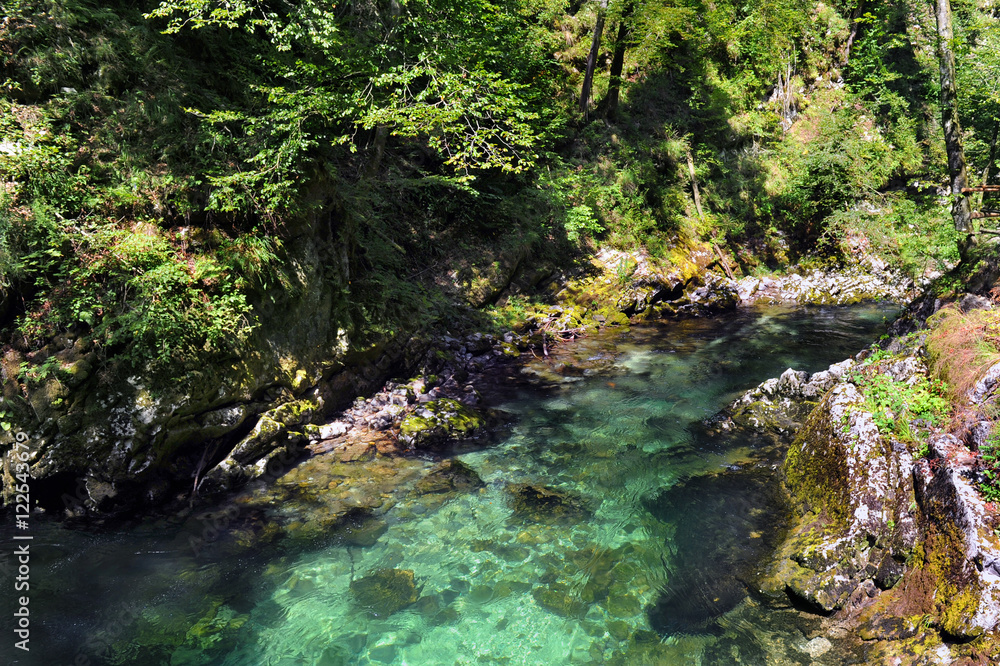 The famous Vintgar gorge with wooden path near lake Bled, Slovenia The famous Vintgar gorge with wooden path near lake Bled, Slovenia