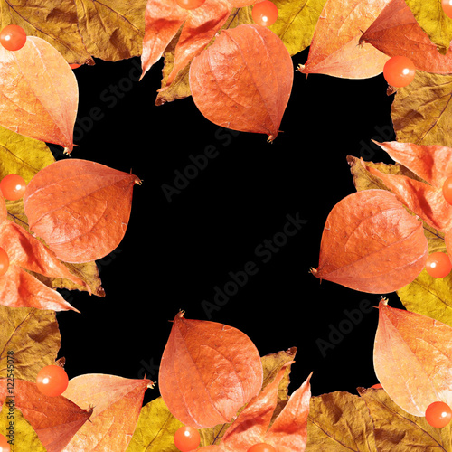 Beautiful autumn background with orange flowers and berries 
