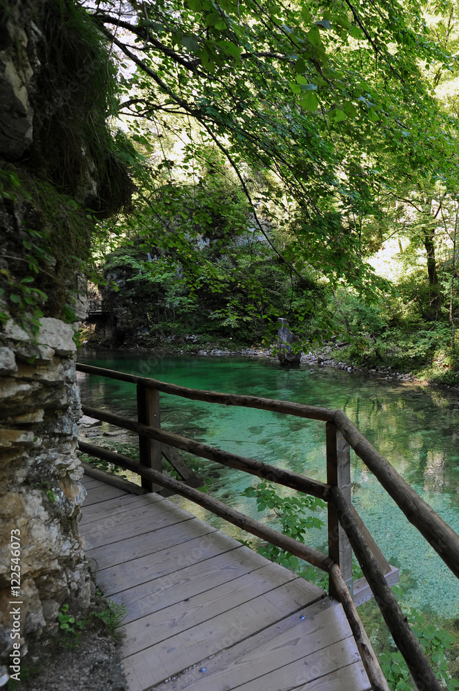 Obraz premium The famous Vintgar gorge with wooden path near lake Bled, Slovenia