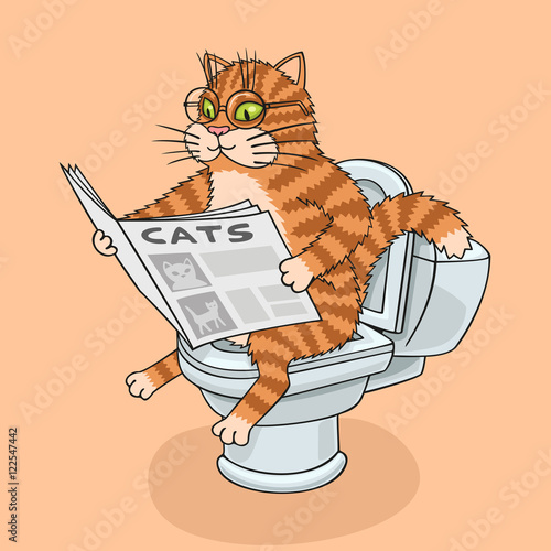 The cat in the toilet.