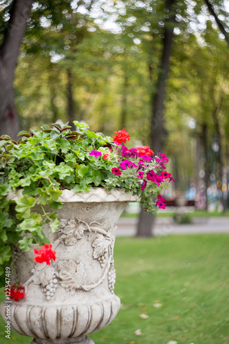 Fototapeta Naklejka Na Ścianę i Meble -  Flowers in a vase in the park. Street flowerpots with summer flowers on blurred  green background.