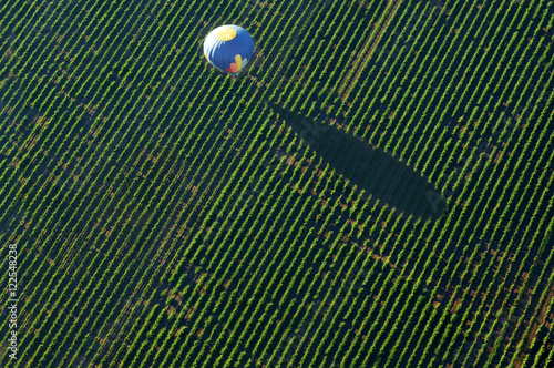 Hot air balloon over vineyard