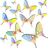 Colorful butterflies design vector